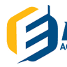 Elite Accountants Group Inc
