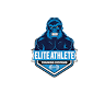 Elite Athlete Training Systems