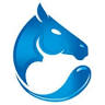 Elite Equine Therapies