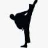 Elite Martial Arts