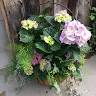 Ellenburg Landscaping & Nursery