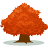Ellimata Cottage