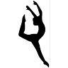Elmira Gymnastics Club & Fitness Center