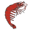 Océano Dorado