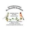 El Pájaro Blanco