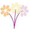 Floreria Cluster