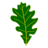 EL ROURE