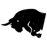 El Toro Negro