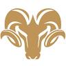Eluxury Home - Sheepskin & Fur Rugs