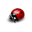 El Vichito