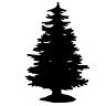 Elysian Hills Tree Farm