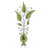 elysium skin studio