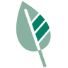 Embark Learning Garden