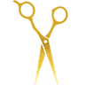Embassy Studio Hair Replacement