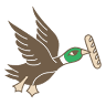 Emerald Mallard