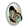 Emerge Med Spa & Salon