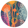 Emily Jackson Design