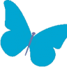 Empowerment Support Services Pty Ltd