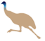 Emu RV