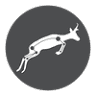 Endurance Physio