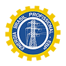ENERGIA BRASIL PROFISSIONAL