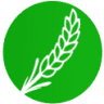 Energyvita