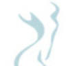Enhanced Form Plastic Surgery - Chicago