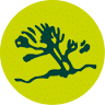 ENT environment & management