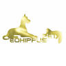 Eohippus