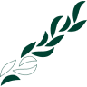 épi boulangerie patisserie