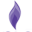 Epilepsy WA