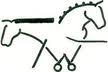 Equine Differences