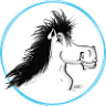 Equine Soap Co.