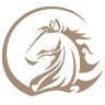 Equitao - Pferdegestütztes Coaching