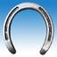 Equus Boria