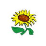 Erboristeria il Girasole