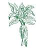 Erboristeria e Parafarmacia La Mandragola-La prima Erboristeria a Cesena