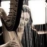 Erin Wood - Harpist