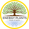 ENERGY PLANTS di ERREA s.r.l.
