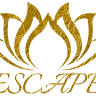 Escape Massage & Esthetics Studio