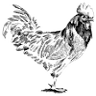 Escondido Feed & Pet Supply