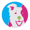 Adiestramiento para perros | Colegio canino | Escuela Canina Colombiana