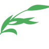 Espacio Verde Resort