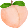 Essence Beauty Supply