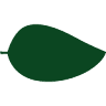 Essencial Farmus