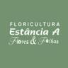 Floricultura Estância A
