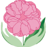 Centro Estetico Le Peonie