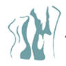 ESTHETIQUE Shopping & Treatments “ Uniek in Nederland”