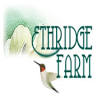 Ethridge Farm Bed and Breakfast