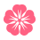 Floricultura Gi